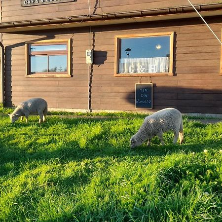 Cafe & Hostal Acurruka Куракаутін Екстер'єр фото